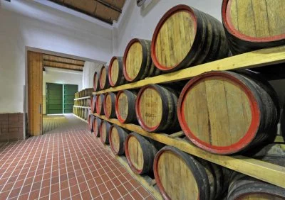 Immagine principale di Curatolo Arini (Marsala)