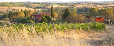 Immagine principale di Podere Casina Produttori di Morellino di Scansano (Maremma, Morellino)