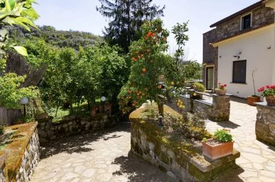 Hauptbild von Agriturismo Il Convento (Sorrento)