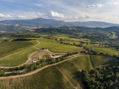 Main image of San Polo Montalcino (Montalcino, Val d'Orcia, Crete Senesi)