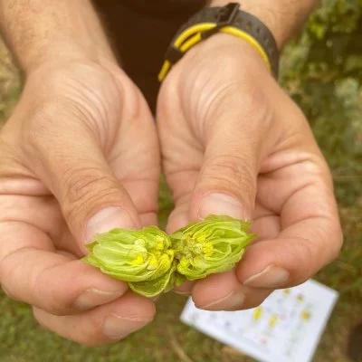 Immagine principale di Birrificio Agricolo Kauss