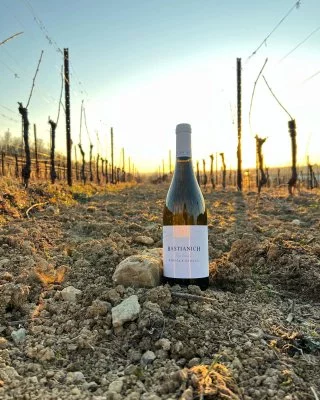 Main image of Cantina Bastianich (Colli Orientali, Friuli Grave)