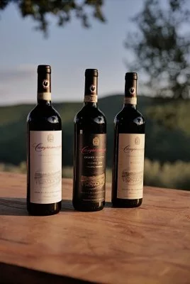 Immagine principale di Tenuta Campomaggio (Chianti, Chianti Classico)