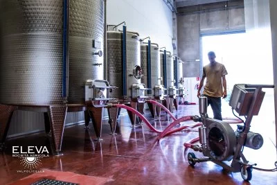 Imagen principal de Società Agricola Eleva (Valpolicella, Amarone, Valpolicella Clásica)