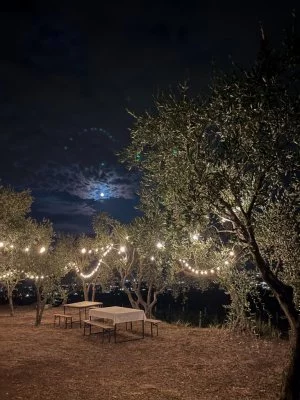 Immagine principale di Società Agricola Eleva (Valpolicella, Amarone, Valpolicella Classica)