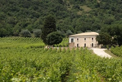 Imagen principal de San Calisto Camere con Vigna (Montepulciano d'Abruzzo)