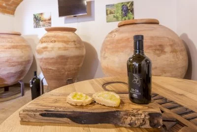 Main image of Cantina Canaio (Valdichiana)