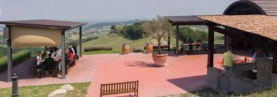 Immagine principale di Cantina il Poggio (Lambrusco, Food Valley, Colli Parmensi)
