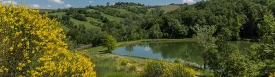Hauptbild von Cantina il Poggio (Lambrusco, Food Valley, Hügel von Parma)