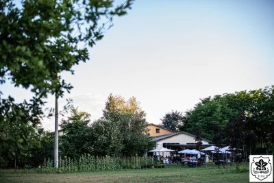 Main image of AZIENDA AGRICOLA TOSI (Oltrepò Pavese)