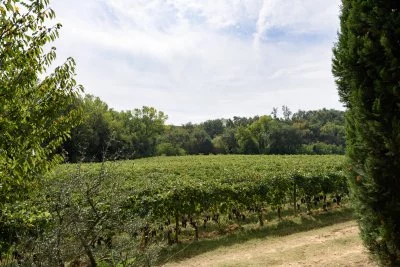 Imagen principal de Il Molinaccio di  Montepulciano (Montepulciano, Valdichiana)
