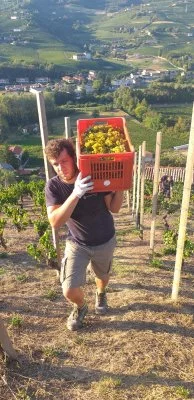 Main image of Teresa Soria Winery (Langhe, Moscato d'Asti, Alta Langa, Hills of Asti)
