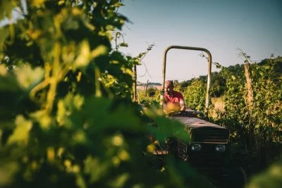 Image principale de LA MARMOCCHIA SOC AGR SS (Les collines de Bologne, Food Valley)
