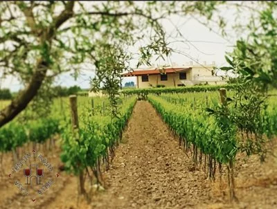 Main image of Tenuta Posta della Casa (Tavoliere delle Puglie)