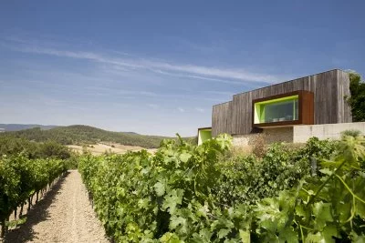 Main image of MAS RODÓ Vitivinícola