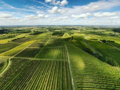 Immagine principale di Domaine du Haut Montlong (Bordeaux, Bergerac, Monbazillac)