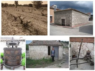 Main image of VIÑEDOS Y BODEGAS RIBÓN (Ribera del Duero)