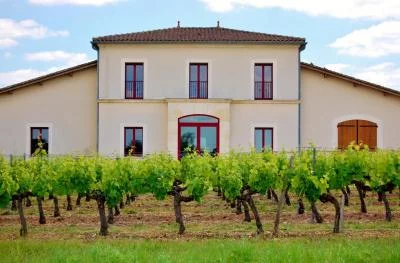 Image principale de Château Pichon Bellevue (Bordeaux, Entre-Deux-Mers)