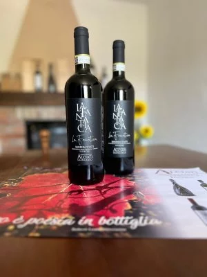 Hauptbild von Alciati Azienda Agricola (Langhe, Monferrato)