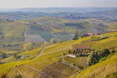 Immagine principale di Lonati Winery | Rocca delle Langhe (Langhe, Moscato d'Asti, Alta Langa, Colline Astigiane)