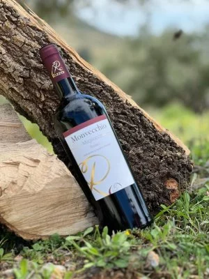 Hauptbild von Cantina Rizzo