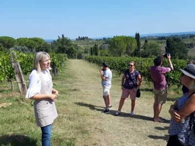 Imagen principal de Tenuta Guardastelle (Val d'Elsa)