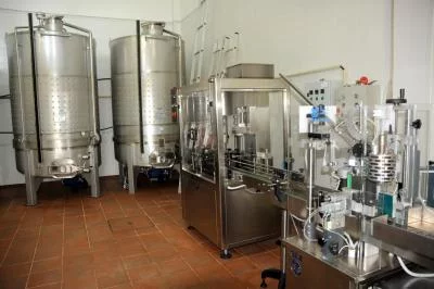 Image principale de Quinta das Escomoeiras (Vinho Verde, Basto)