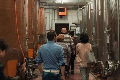 Hauptbild von Poderi Vaiot (Langhe, Roero)