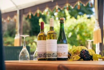 Main image of Frome Valley Vineyard