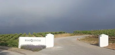 Imagen principal de Boas Quintas (Dao)