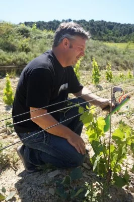 Image principale de Vins laurent bellion (Rhône, Côtes du Rhône)