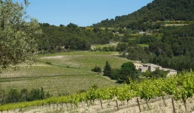 Main image of Vins laurent bellion (Rhône, Côtes du Rhône)
