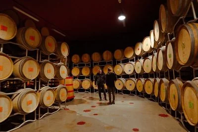 Main image of Roberto Cipresso (Montalcino, Val d'Orcia, Crete Senesi)