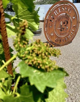 Hauptbild von Roberto Cipresso (Montalcino, Val d'Orcia, Kreta Senesi)