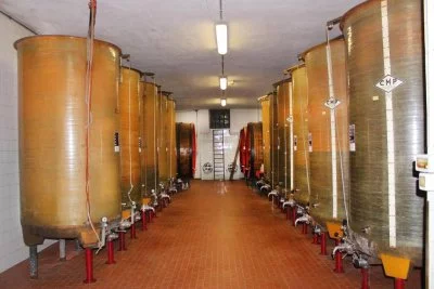 Immagine principale di Azienda vitivinicola CASCINA FIETTA VINO DOC - Calvo Mario (Monferrato, Monferrato Casalese)