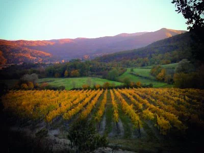Imagen principal de Ornina Winery