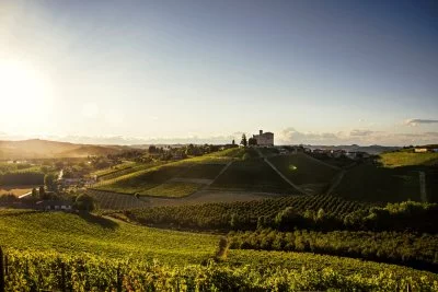 Imagen principal de GRIMALDI LUIGINO (Langhe, Alta Langa, Barolo)