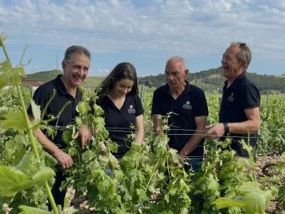 Imagen principal de Heredad Martínez Castillo (Rioja, Rioja Alta)