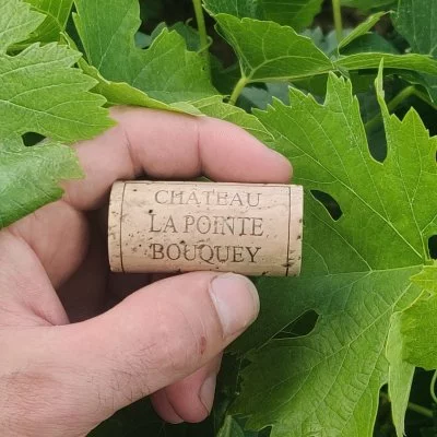 Image principale de Château La Pointe Bouquey (Bordeaux, Saint-Emilion)