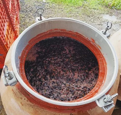 Hauptbild von Tère Rüse (Langhe, Monferrato, Moscato d'Asti, Alta Langa, Hügel von Asti)