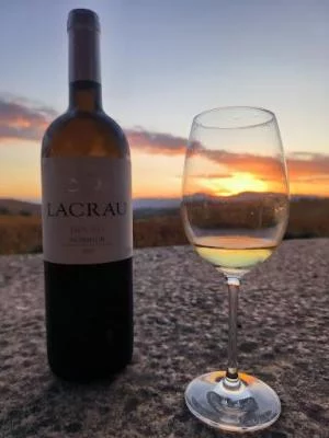 Main image of Quinta da Faisca (Douro Valley, Terras de Trás-os-Montes, Cima Corgo)