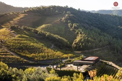 Main image of Perinet (Priorat, Catalonia)