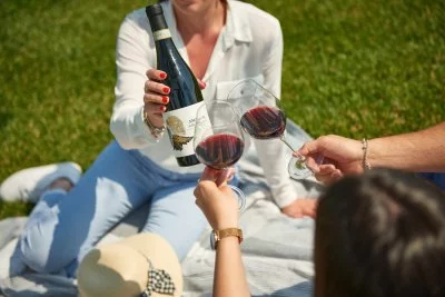 Immagine principale di Cantina Monteci (Valpolicella)