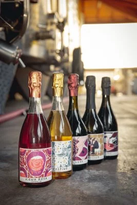 Hauptbild von Vitivinicola Fangareggi (Lambrusco, Food Valley)