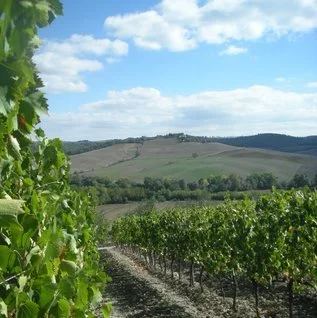 Imagen principal de Atrivm (Montalcino, Val d'Orcia, Crete Senesi)
