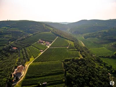 Main image of Il Monte Caro (Valpolicella, Amarone, Soave)