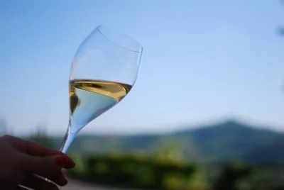 Immagine principale di Giannitessari soc agricola srl (Valpolicella, Soave, Monti Lessini)