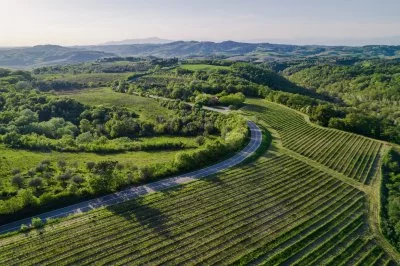 Main image of Castelfalfi (Chianti)