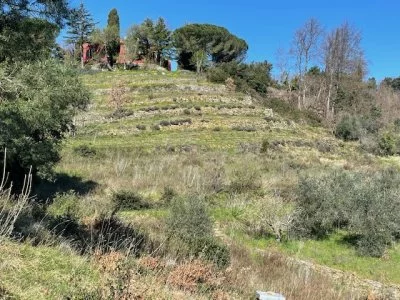 Immagine principale di San Donato in Bellaria
