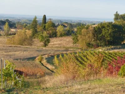 Imagen principal de Domaine Duffau (Suroeste, Gaillac, Garonne, Tarn)